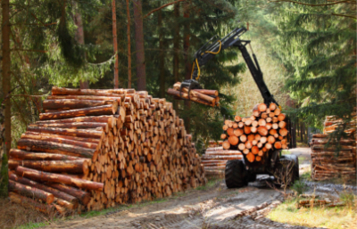 Forestal
